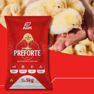 Pré Forte