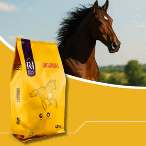 Royal Horse Original