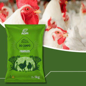 Frango - Engorda