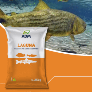 Laguna - Carnívoros