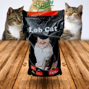 Lob Cat - Gatos Adultos