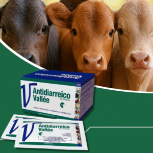 ANTIDIARREICO VALLÉE