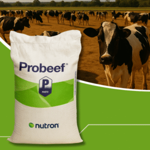 Probeef